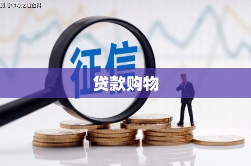漠河贷款购物