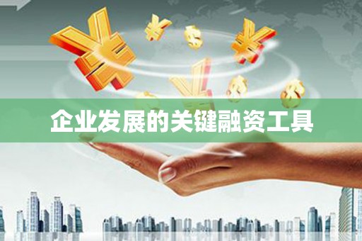 漠河企业发展的关键融资工具