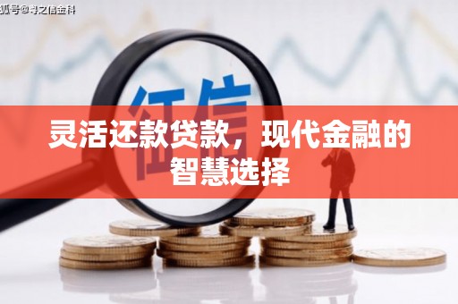 漠河灵活还款贷款，现代金融的智慧选择