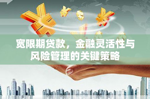 漠河宽限期贷款，金融灵活性与风险管理的关键策略