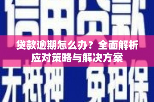 漠河贷款逾期怎么办？全面解析应对策略与解决方案