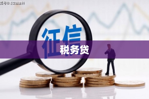 漠河税务贷