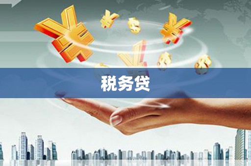 漠河税务贷