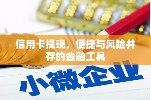 漠河信用卡提现，便捷与风险并存的金融工具