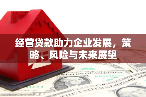 漠河经营贷款助力企业发展，策略、风险与未来展望