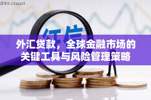 漠河外汇贷款，全球金融市场的关键工具与风险管理策略