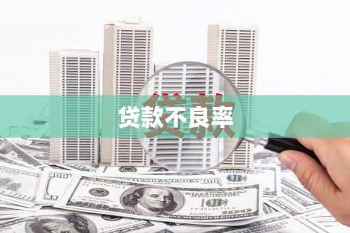 漠河贷款不良率