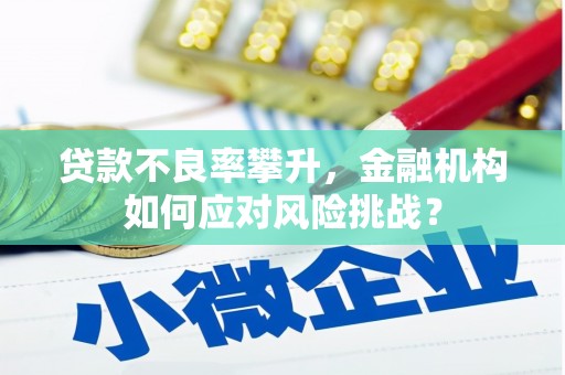漠河贷款不良率攀升，金融机构如何应对风险挑战？