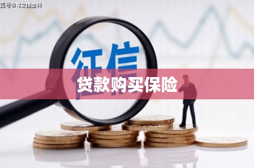 漠河贷款购买保险