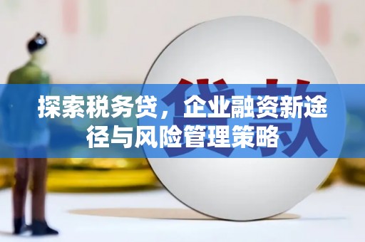 漠河探索税务贷，企业融资新途径与风险管理策略