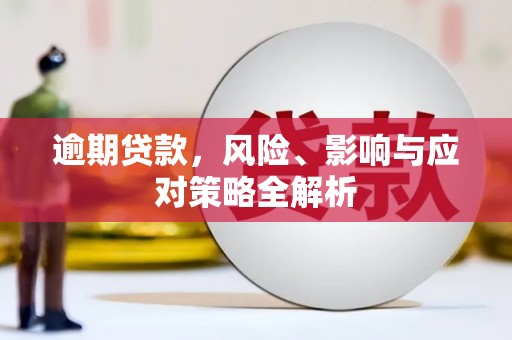 漠河逾期贷款，风险、影响与应对策略全解析