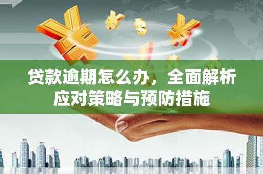 漠河贷款逾期怎么办，全面解析应对策略与预防措施