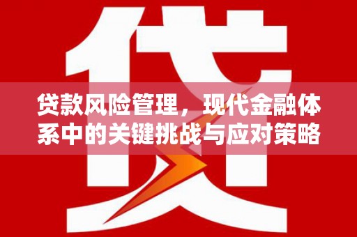 漠河贷款风险管理，现代金融体系中的关键挑战与应对策略