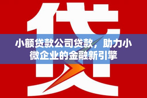 漠河小额贷款公司贷款，助力小微企业的金融新引擎