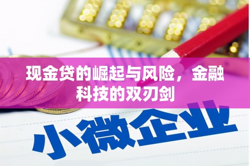漠河现金贷的崛起与风险，金融科技的双刃剑