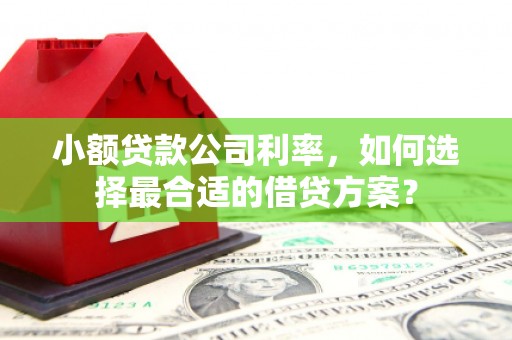 漠河小额贷款公司利率，如何选择最合适的借贷方案？