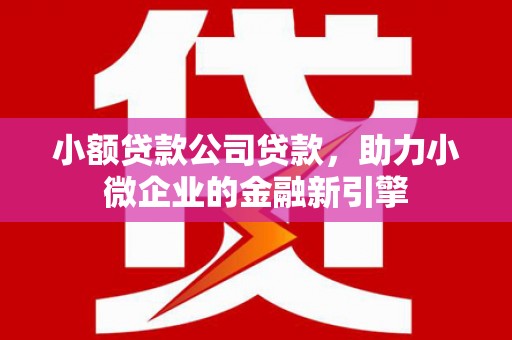 漠河小额贷款公司贷款，助力小微企业的金融新引擎
