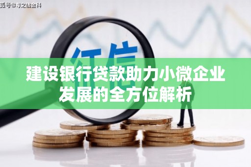 漠河建设银行贷款助力小微企业发展的全方位解析