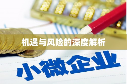 漠河机遇与风险的深度解析
