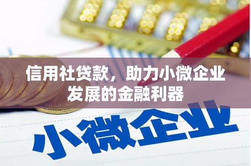 漠河信用社贷款，助力小微企业发展的金融利器