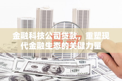 漠河金融科技公司贷款，重塑现代金融生态的关键力量