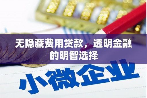 漠河无隐藏费用贷款，透明金融的明智选择