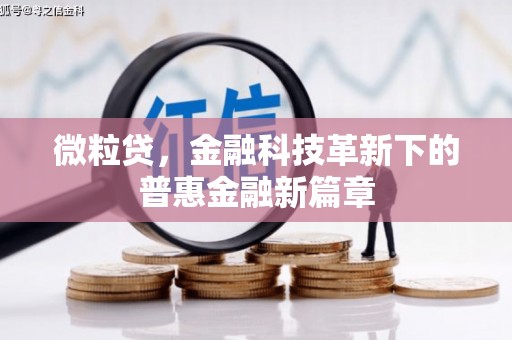 漠河微粒贷，金融科技革新下的普惠金融新篇章