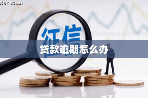 漠河贷款逾期怎么办