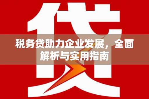 漠河税务贷助力企业发展，全面解析与实用指南