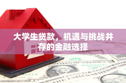 漠河大学生贷款，机遇与挑战并存的金融选择
