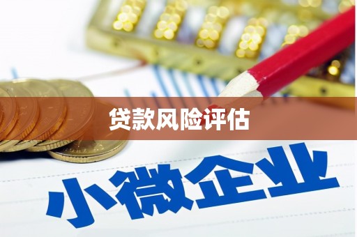 漠河贷款风险评估
