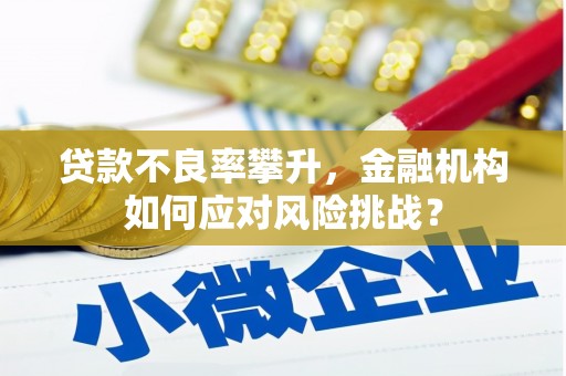 漠河贷款不良率攀升，金融机构如何应对风险挑战？
