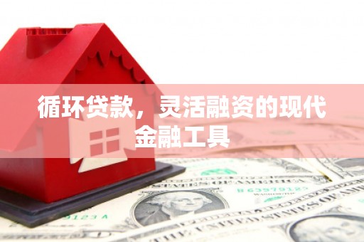 漠河循环贷款，灵活融资的现代金融工具