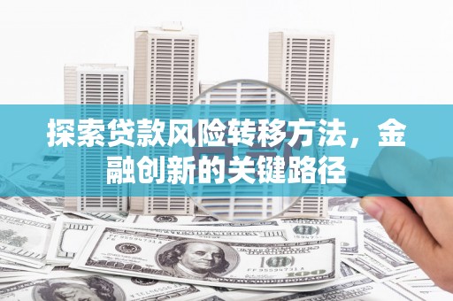 漠河探索贷款风险转移方法，金融创新的关键路径