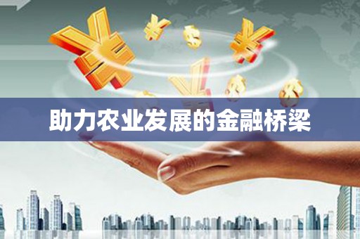 漠河助力农业发展的金融桥梁
