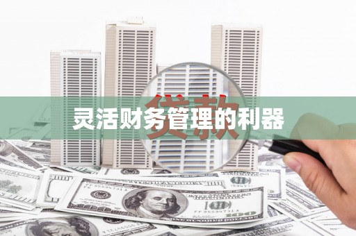 漠河灵活财务管理的利器