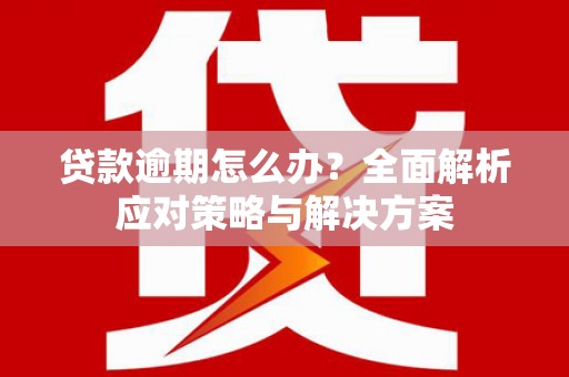 漠河贷款逾期怎么办？全面解析应对策略与解决方案