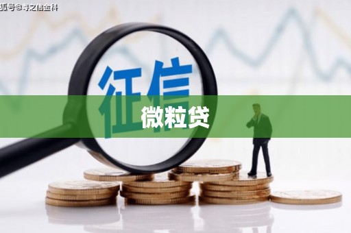 漠河微粒贷