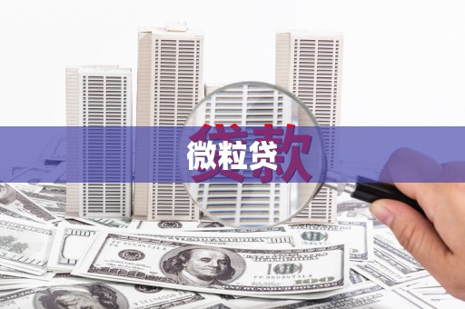 漠河微粒贷