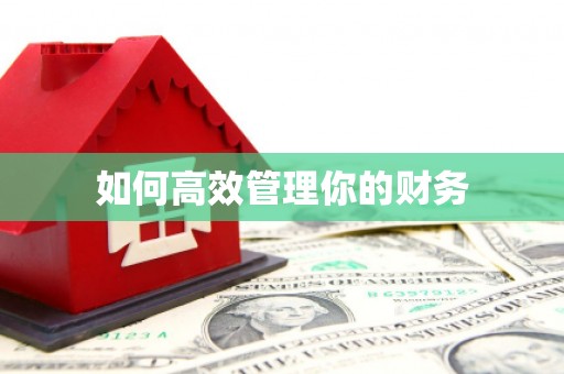 漠河如何高效管理你的财务