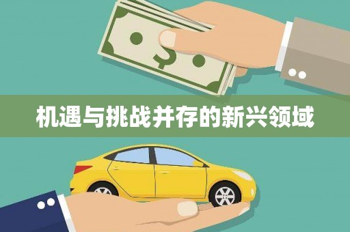 漠河机遇与挑战并存的新兴领域