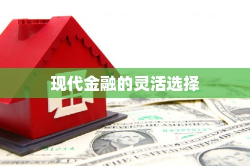 漠河现代金融的灵活选择