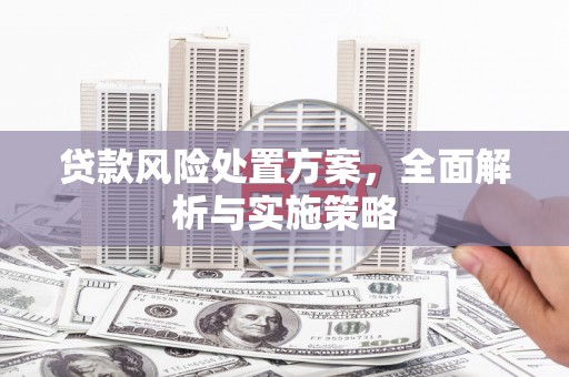 漠河贷款风险处置方案，全面解析与实施策略