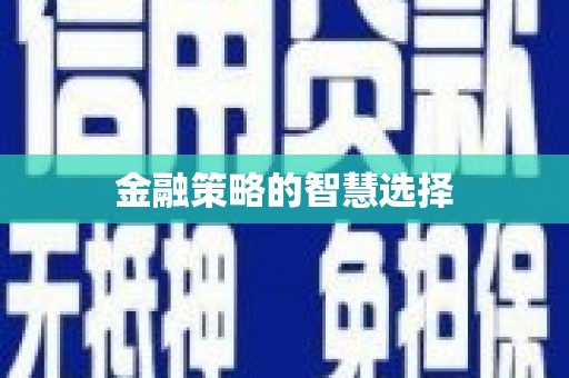 漠河金融策略的智慧选择