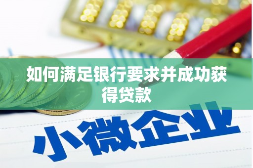 漠河如何满足银行要求并成功获得贷款