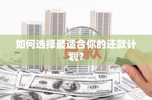 漠河如何选择最适合你的还款计划？