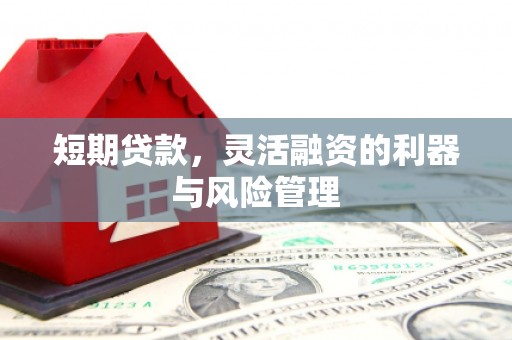 漠河短期贷款，灵活融资的利器与风险管理