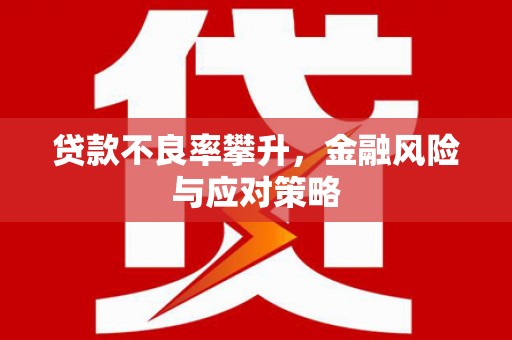 漠河贷款不良率攀升，金融风险与应对策略