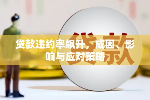 漠河贷款违约率飙升，成因、影响与应对策略